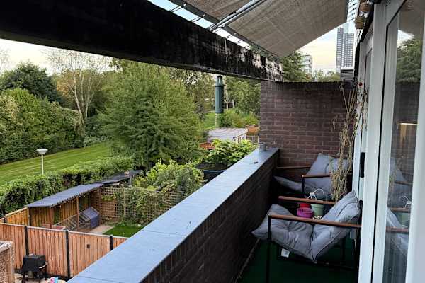 House sit in Eindhoven, Netherlands
