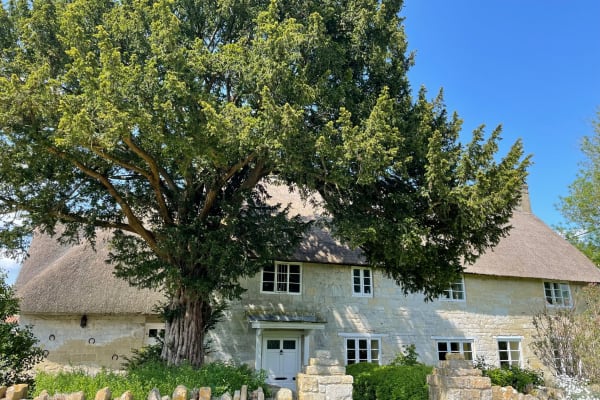 House sit in Teffont Magna, United Kingdom