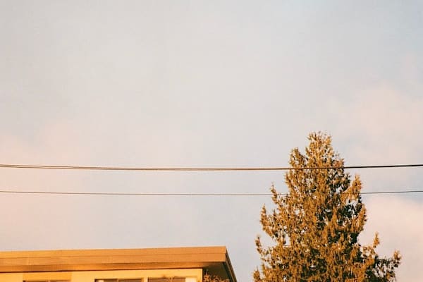 House sit in North Vancouver, BC, Canada