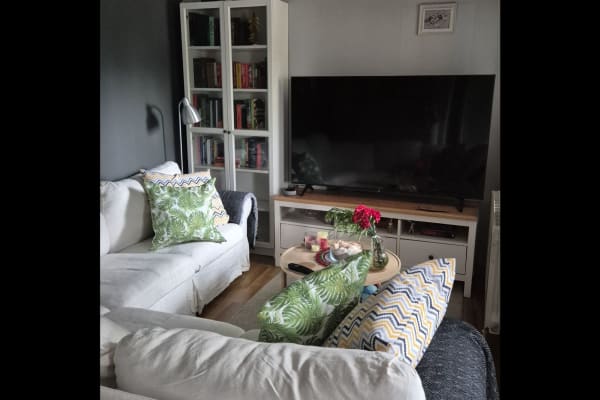 House sit in Madrid, Spain