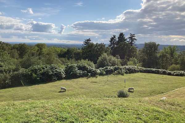 House sit in Wonersh, United Kingdom