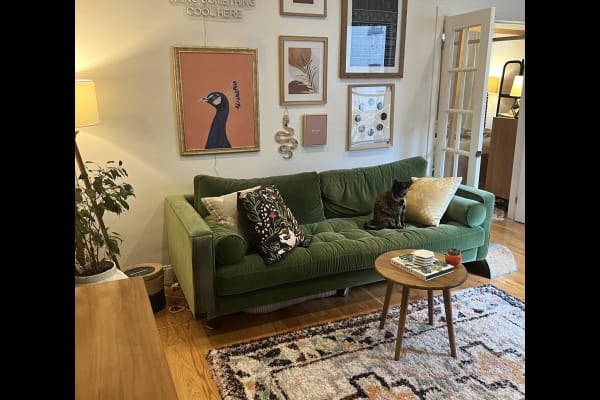 House sit in New York City, NY, US