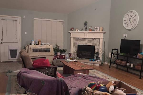 House sit in The Woodlands, TX, US