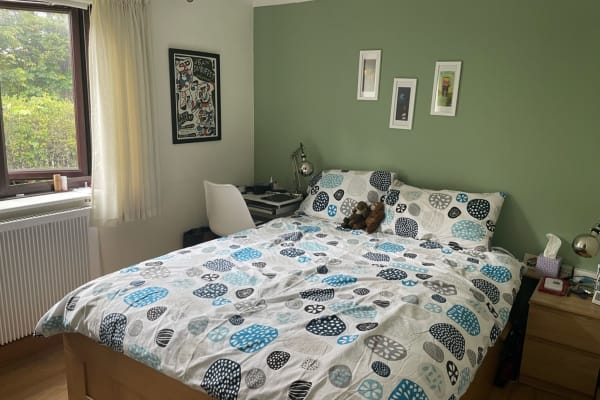 House sit in London, United Kingdom