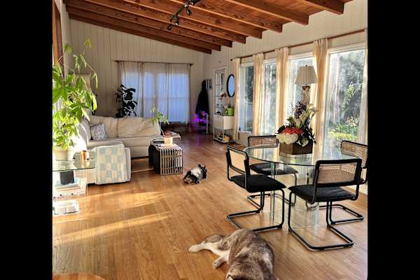 House sit in Highland Park, CA, US