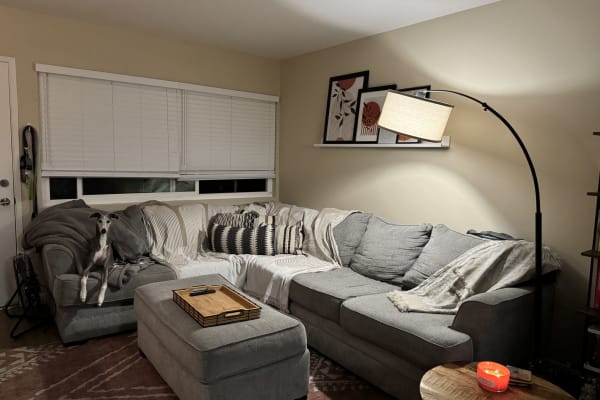 House sit in San Diego, CA, US