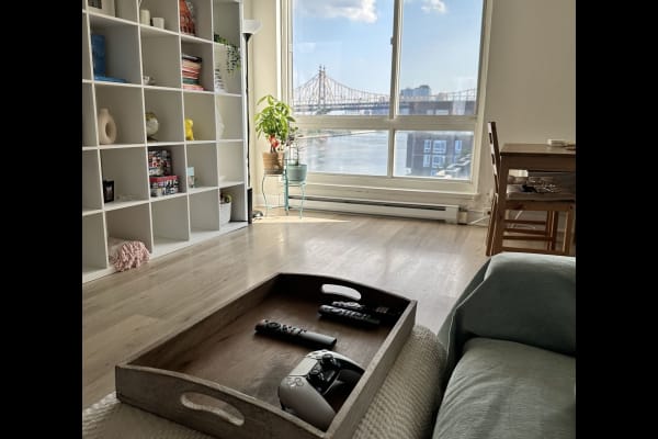 House sit in Manhattan, NY, US