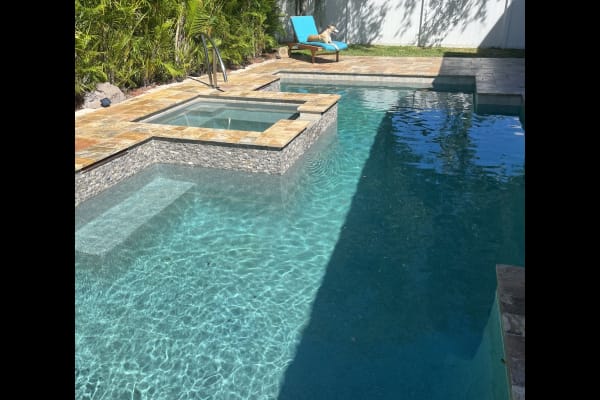 House sit in Tampa, FL, US