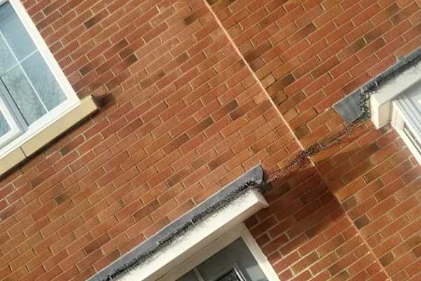House sit in Longridge, United Kingdom