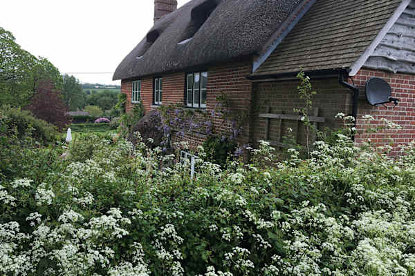 House sit in Marlborough, United Kingdom