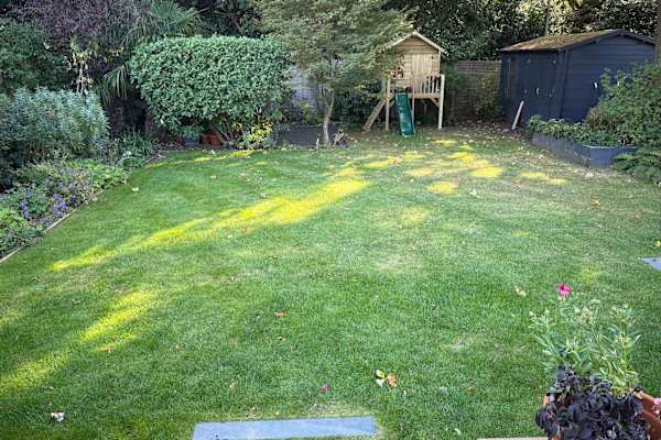 House sit in Woking, United Kingdom