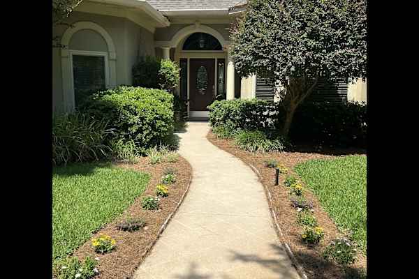 House sit in Tallahassee, FL, US