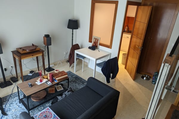 House sit in Madrid, Spain