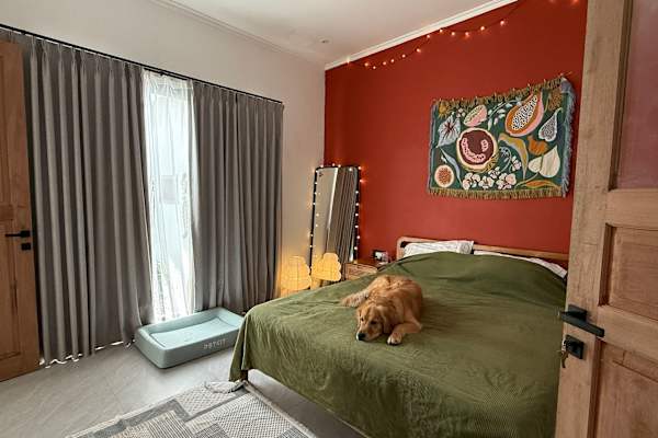 House sit in Canggu, Indonesia