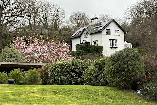 House sit in Borth, United Kingdom