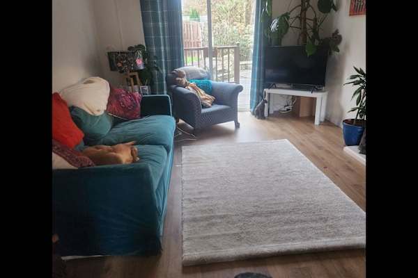 House sit in Dunbar, United Kingdom