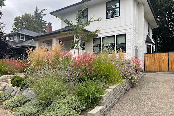 House sit in Portland, OR, US