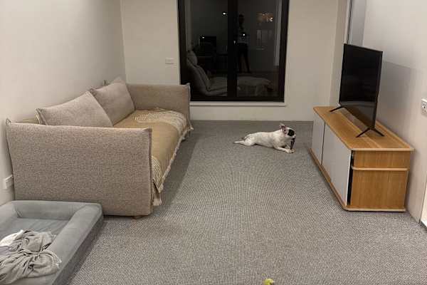 House sit in Sydney, NSW, Australia