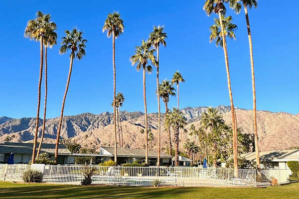 House sit in Palm Springs, CA, US
