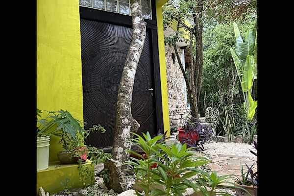 House sit in Tulum, Mexico