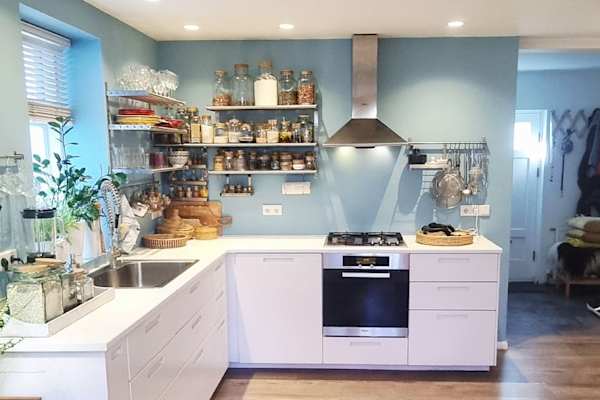 House sit in Reykjavík, Iceland