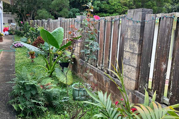 House sit in Kailua, HI, US