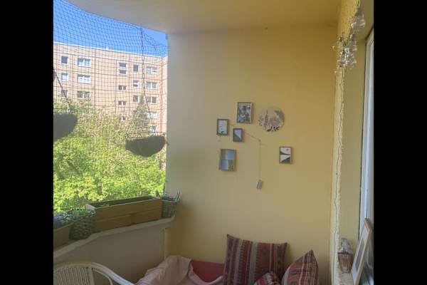 House sit in Berlin, Germany