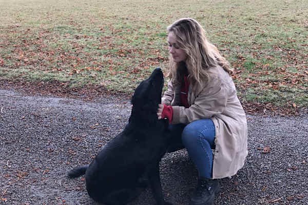 House sit in Harrogate, United Kingdom