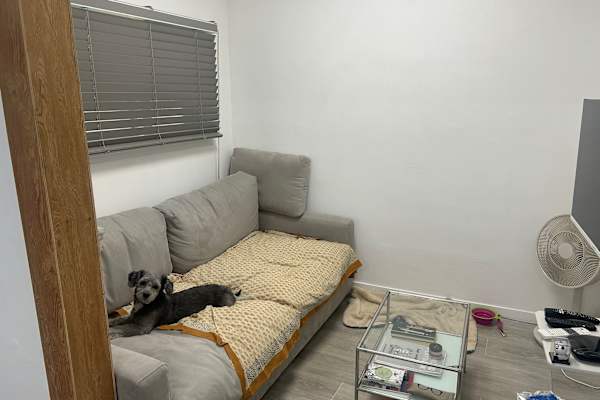 House sit in Seoul, South Korea