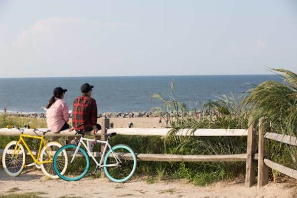 House sit in Lewes, DE, US