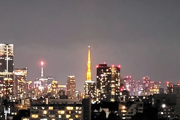House sit in Nakameguro, Japan