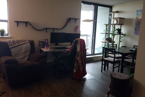 House sit in Ottawa, ON, Canada