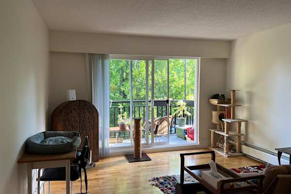 House sit in Vancouver, BC, Canada
