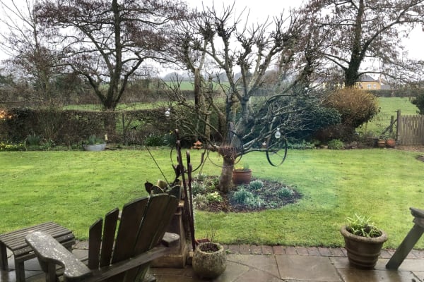 House sit in Dorchester, United Kingdom