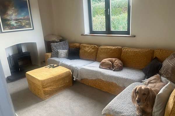 House sit in Gloucester, United Kingdom