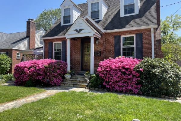 House sit in Arlington, VA, US