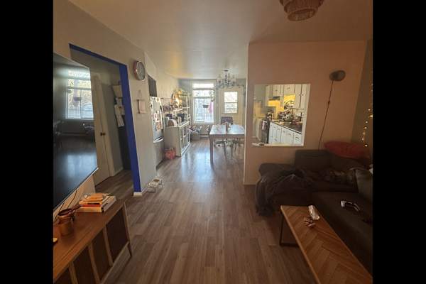 House sit in Montréal, QC, Canada