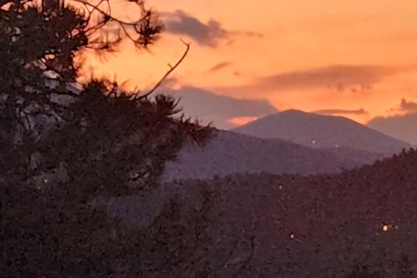 House sit in Evergreen, CO, US