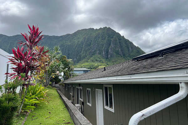 House sit in Kaneohe, HI, US