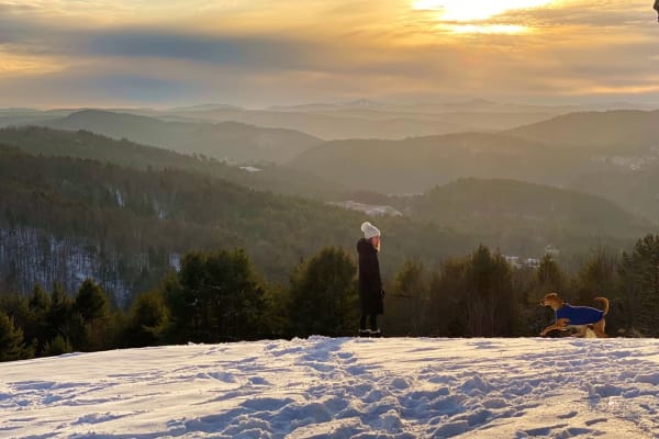 House sit in South Royalton, VT, US