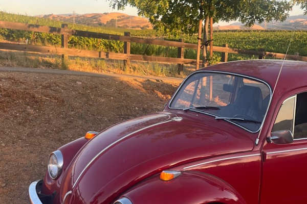 House sit in Livermore, CA, US