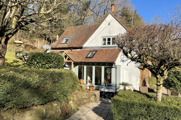 House sit in Dorking, United Kingdom