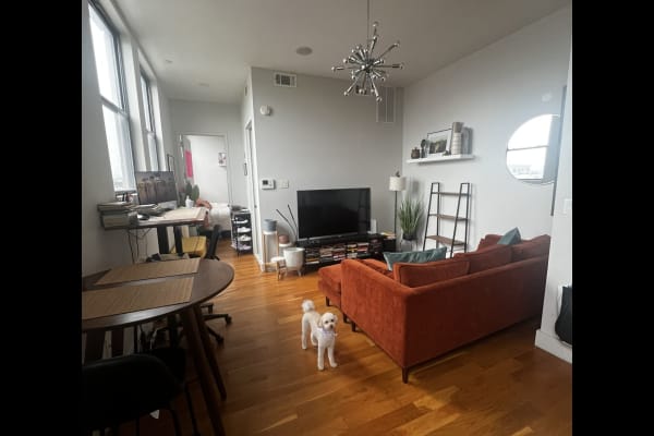 House sit in Brooklyn, NY, US