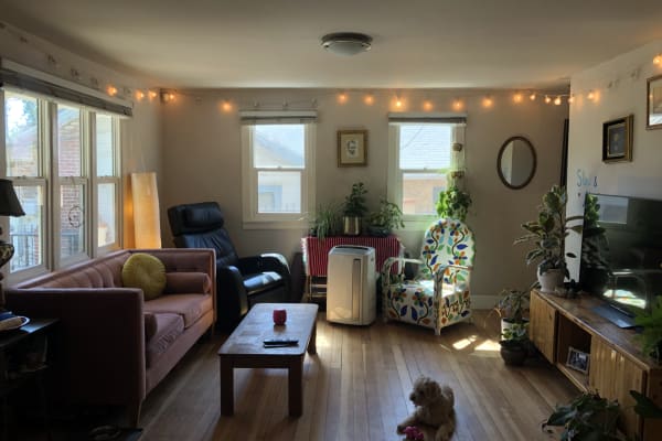 House sit in Highland Park, CA, US