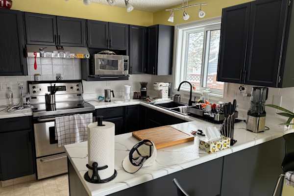 House sit in Edmonton, AB, Canada