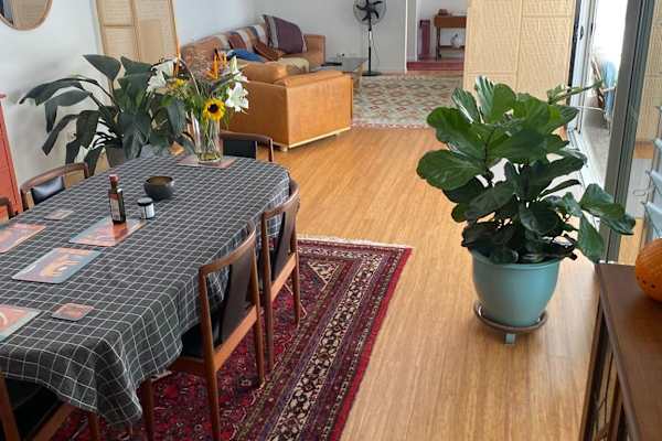 House sit in Ocean Shores, NSW, Australia