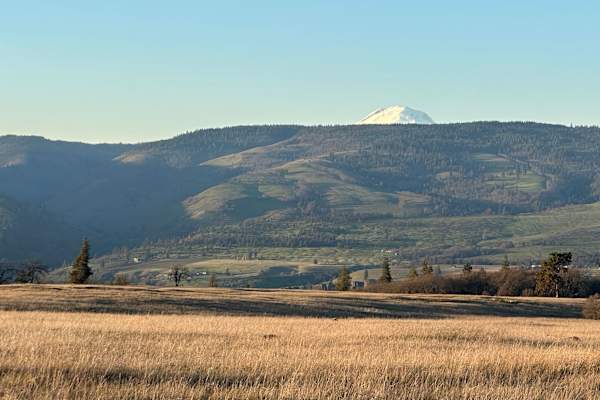House sit in Mosier, OR, US