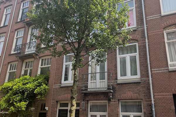 House sit in Amsterdam, Netherlands
