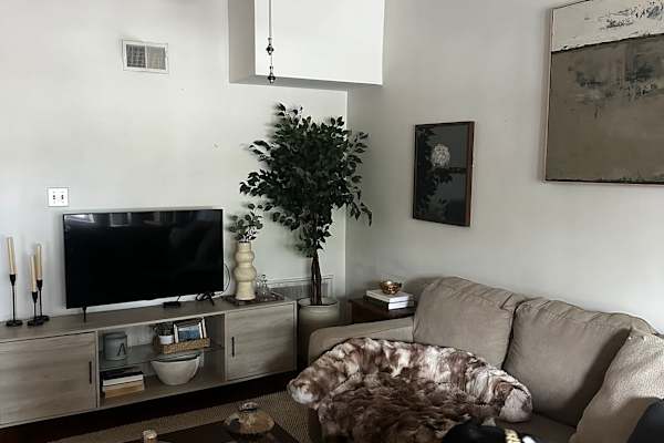 House sit in Chicago, IL, US