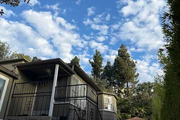 House sit in South Pasadena, CA, US